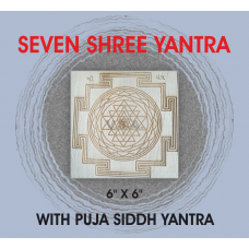 BhuPrushth ShreeYantra